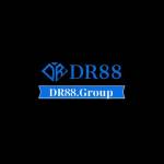 DR88 88 Profile Picture