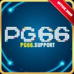 pg66 support Profile Picture