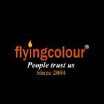 Flyingcolour Business Setup Profile Picture