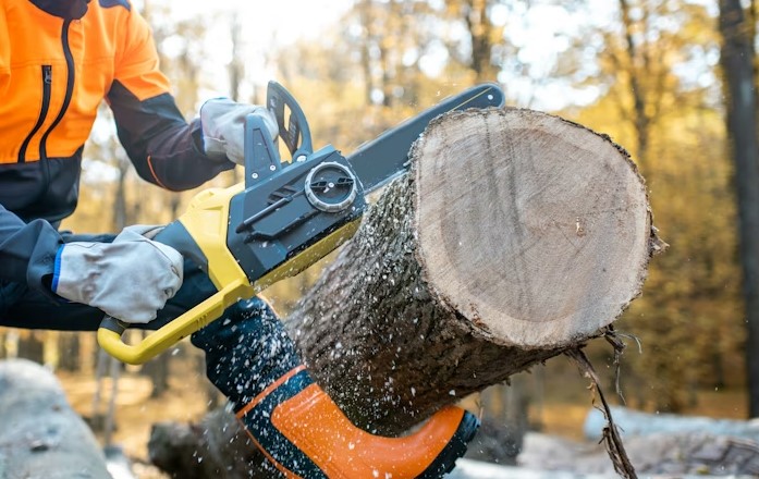 Best tree removal services in Getzville NY