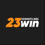 23win Nhà cái Profile Picture