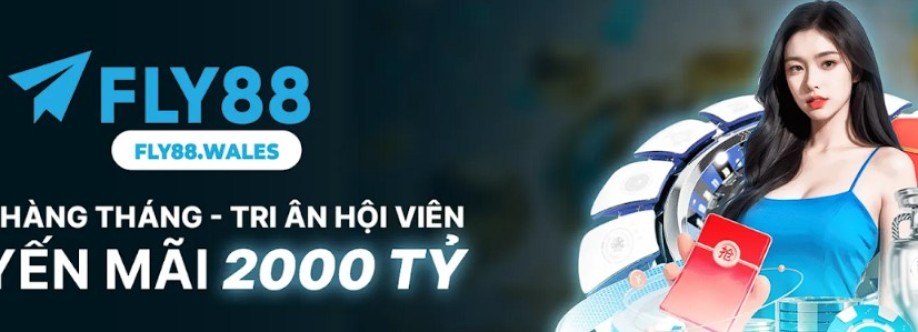 Fly88 wales Cover Image