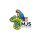 MJS Exotics Profile Picture