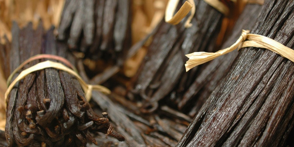 The Complete Guide to Premium Bourbon Vanilla: Origins, Benefits, Uses & Why Robust Madagascar Leads the Industry – Robust Madagascar Blogs