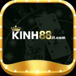 kinh88it com Profile Picture