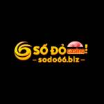 Sodo66 biz Profile Picture
