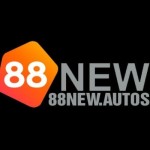 88NEW autos Profile Picture