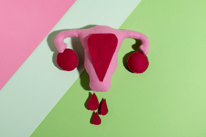 Understanding Women’s Hormonal Health: PCOS vs. Imbalance: drvpjyotsna — LiveJournal