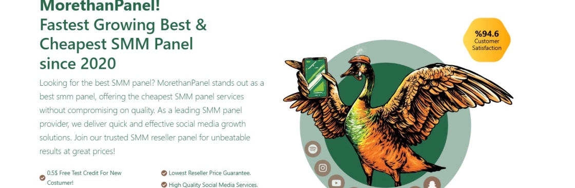 MoreThanPanel Official Cover Image