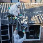asbestos removal Profile Picture