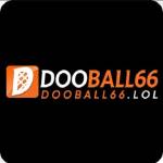 DOOBALL66 BALL66 Profile Picture