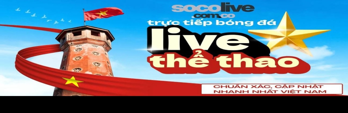 Lệ Phi Vũ Chuyên gia thể thao Cover Image