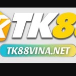 TK88 VINA Profile Picture