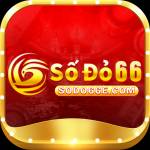 sodo66 e Profile Picture