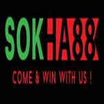 sokhabet Profile Picture