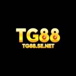 TG88 SENET Profile Picture
