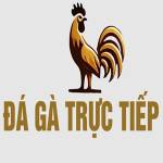 ĐÁ GÀ TRỰC TIẾP Profile Picture