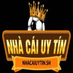 Nhacaiuytin es Profile Picture