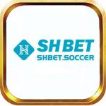 Shbet Bet