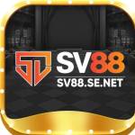 SV88 SE Profile Picture
