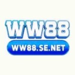 WW88 Bet Profile Picture