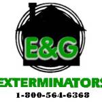 E G Exterminators Profile Picture