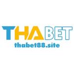Thabet 88site Profile Picture