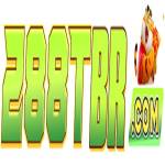 288t brcom Profile Picture