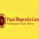 Maa BaglamukhiNalkheda Profile Picture