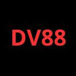 DV88 Rucom profile picture