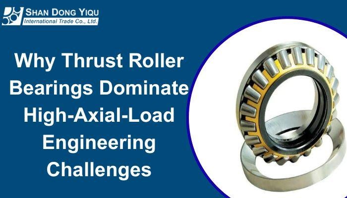 Why Thrust Roller Bearings Dominate High-Axial-Load Engineering Challenges - MindxMaster