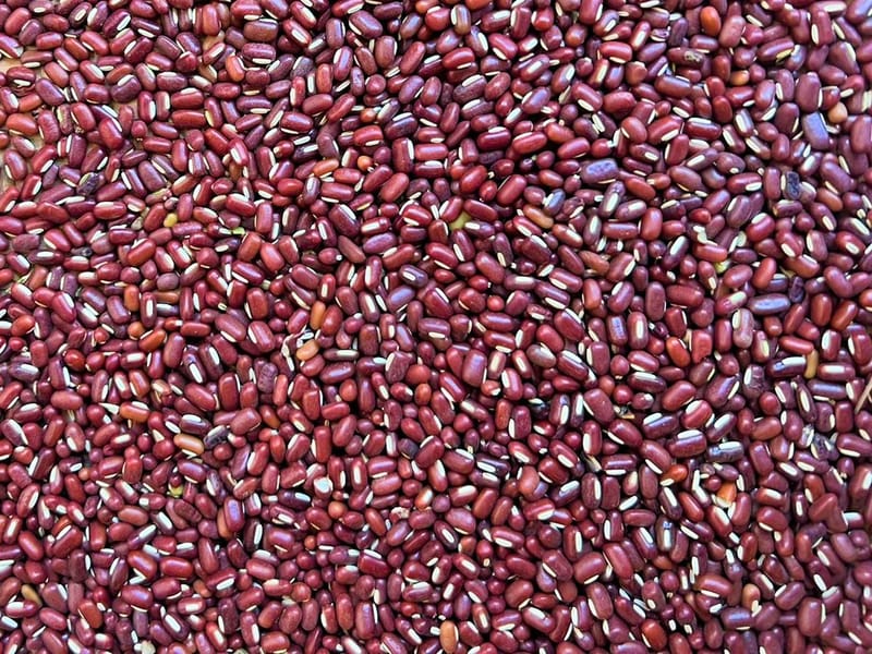 The Complete Guide to Organic Adzuki Beans: Nutrition, Benefits & Why They Matter for a Healthy Lifestyle - Robust Madagascar