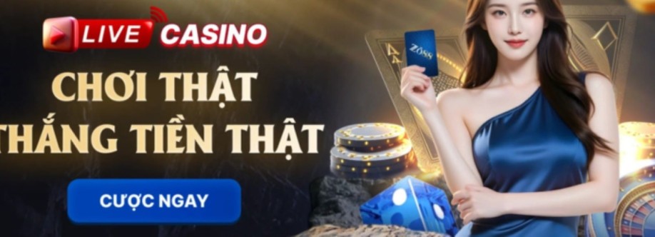 zo88t xyz Cover Image