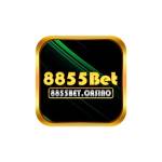 8855BET casino Profile Picture
