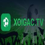 Xoigac TV Profile Picture
