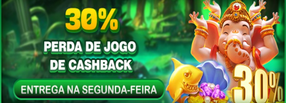 27B Network Cover Image