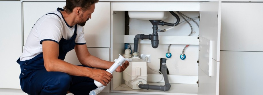 Plumbing Network Cover Image