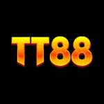 TT887 Net