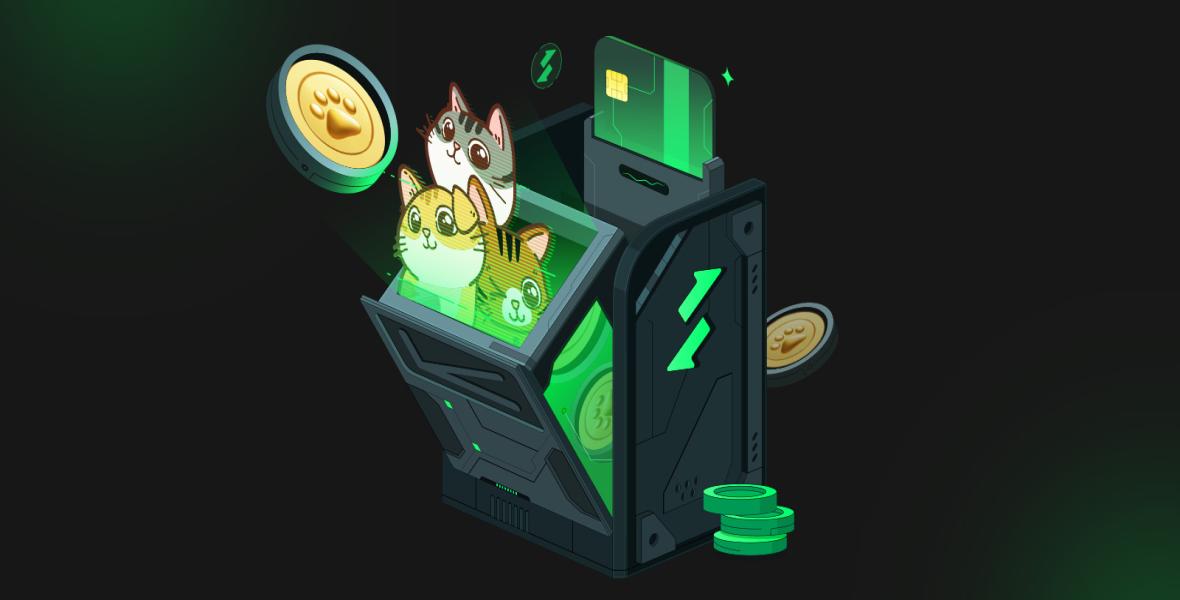 CATICOIN - Blog Details