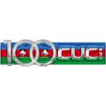 100cuci official Profile Picture