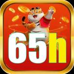 65h br Profile Picture