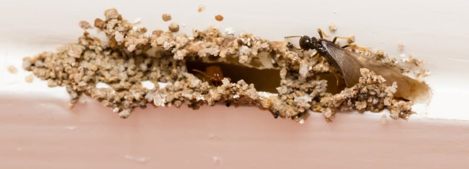 The Bug Master Residential Cover Image