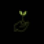 tran ben Profile Picture