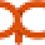 WO PET Profile Picture