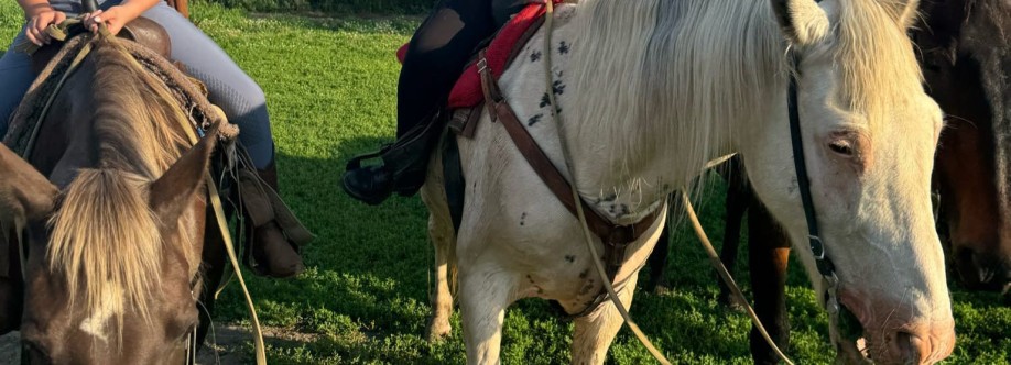 Camp Pillsbury Cover Image