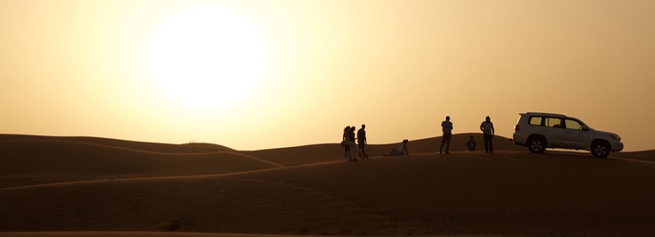 Dubai Tours N Travel Cover Image