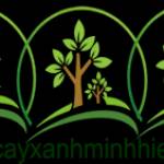 Cây Công Trình Profile Picture