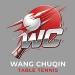 Wang Chuqin Profile Picture