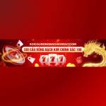 Soi Cầu Rồng Bạch Kim Profile Picture