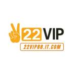 22VIP it com Profile Picture